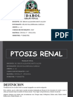 Ptosis Renal