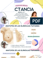 Fisiología Lactancia