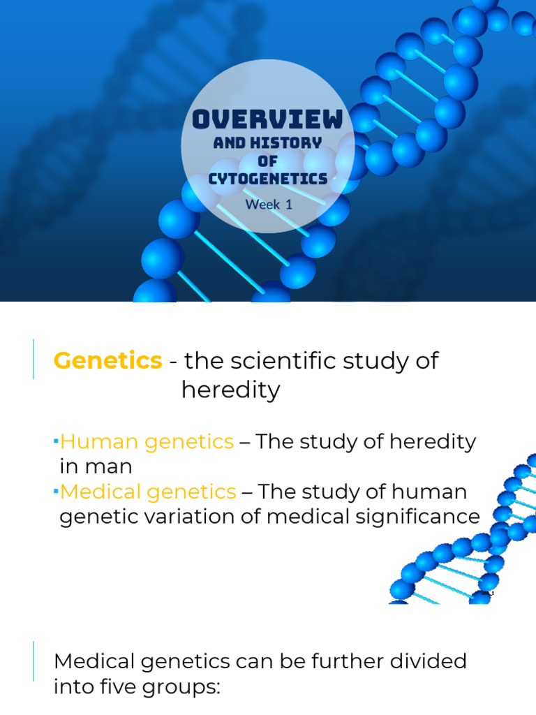 Cytogenetics Lesson 1 Prelim | PDF | Genetics | Allele