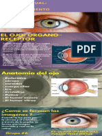 Info Vista