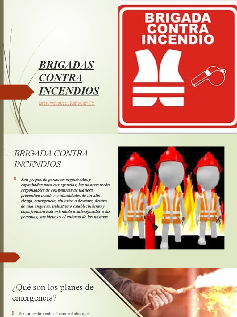 Brigadas Contra Incendios: Funciones y Objetivos | PDF | Business