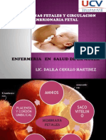 Diapositivas de Placenta Corion y Alantoides..Diana