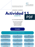 Actividad 1.1 Complementos y Sup.