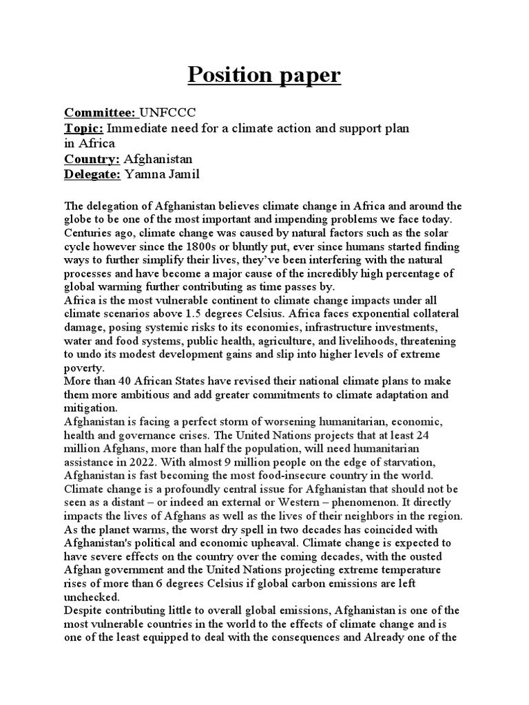 Position Paper 1 | PDF