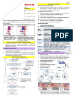 Reanimacion Neonatal
