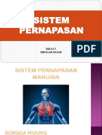 Sistem Pernapasan Manusia Dan Hewan Kela