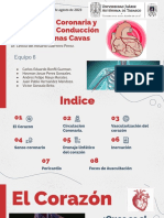 Circulacion Coronaria Equipo6 (Bonfil)