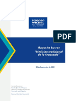 Informe de Sistema Mapuche Verdadero