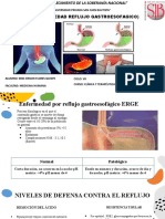 ERGE Con Construccion Esofagica