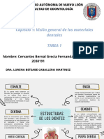 Tendedero plegable para radiador, resina - 4 metros de tendido - Fabricado  en España - Soporte para tender ropa (Bla