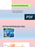 Fisiologi Sistem Reproduksi 2021