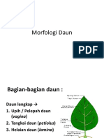 Morfologi Daun