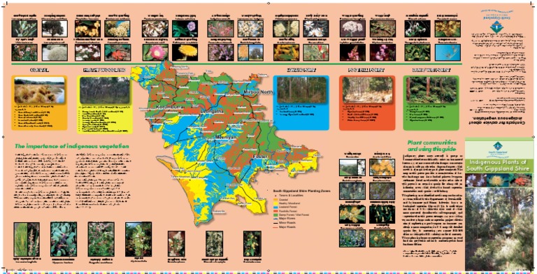 Indigenous Plants of South Gippsland | PDF | Plants | Botany