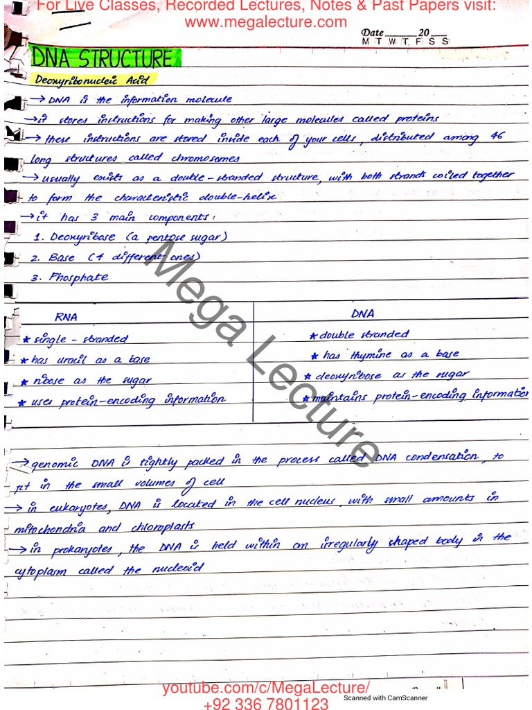 DNA-StructureInheritance Notes | PDF