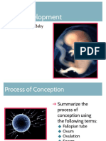 Prenatal Development 