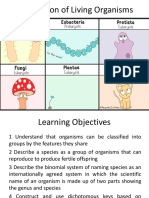 Classification PDF