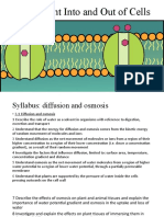 Movement Into and Out of Cells