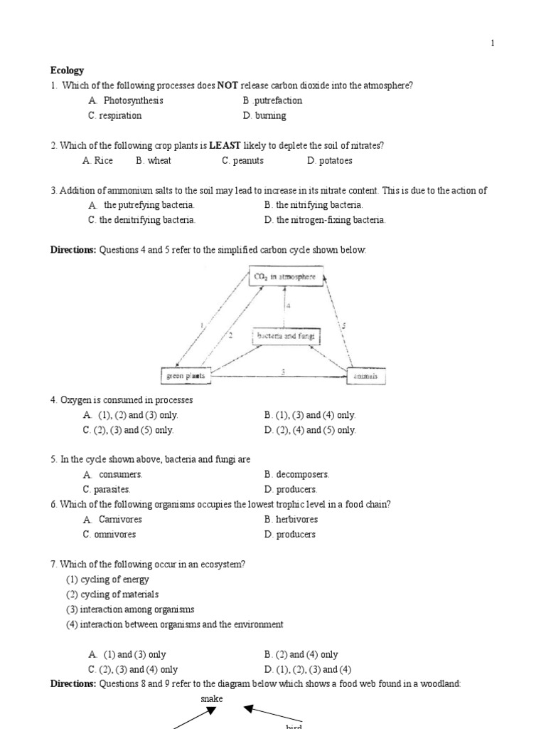 Ecology Test Food  Ecosystem