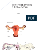 Ovulation, Fertilization and Implantation