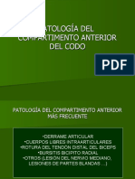 Patologa Del Codo Anterior