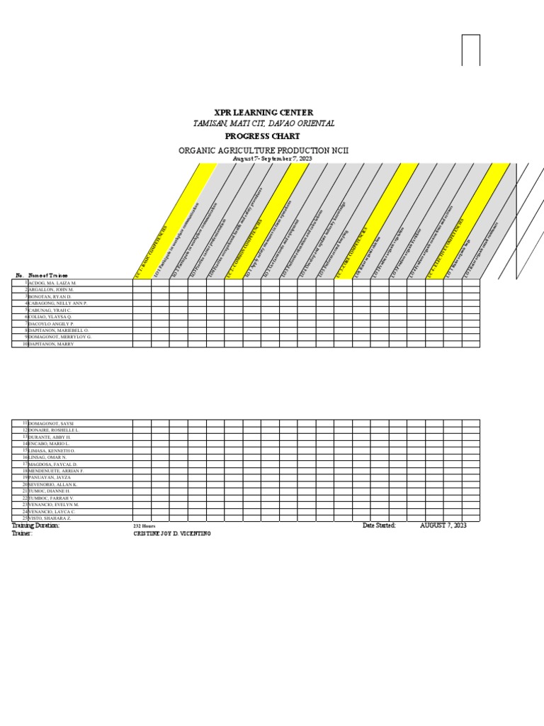 Progress Chart | PDF