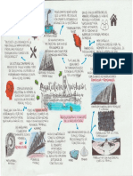 AR345 - Ejemplo Mapa Mental PDF