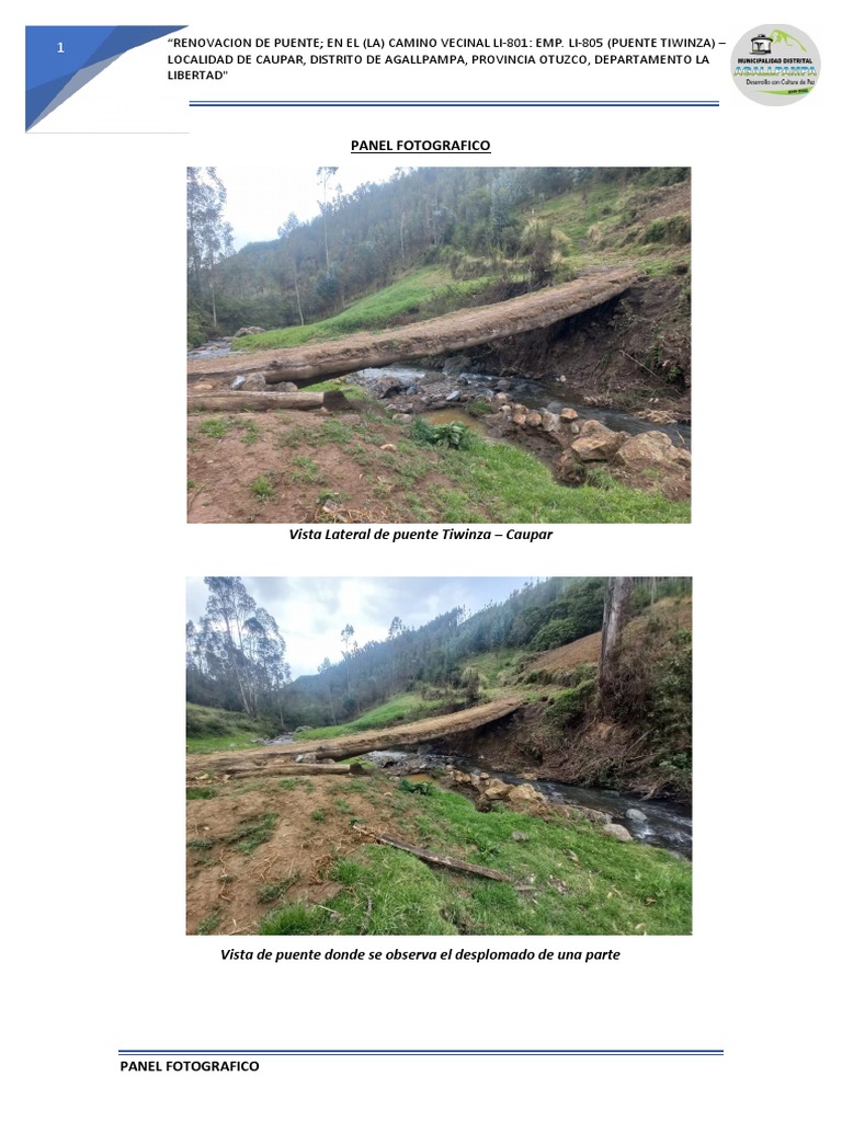 Renovación Puente Tiwinza: Informe | PDF