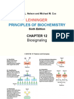 C12 Bioseñalización