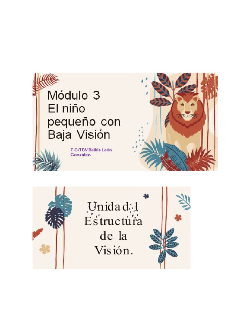 Diplomatura en Estimulación Visual | PDF | Percepción visual | Corteza ...
