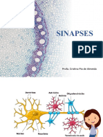 Sinapse e Neurotransmissores Final