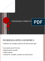 Patologia Nervului Optic