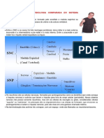 Canja Do Mankets - Fisiologia Comparada Do Sistema Nervoso