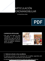 Articulación ATM y Atlanto Occipital