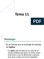 Tema 11