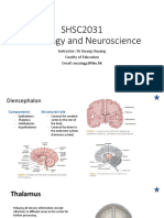 Week 7 Diencephalon Basal Ganglia Brain Ventricles