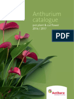 Anthurium LORES