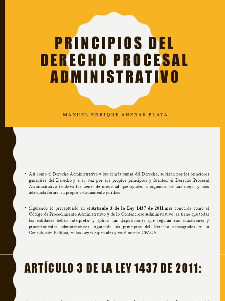 Principios del Derecho Procesal Administrativo | PDF | Debido al ...