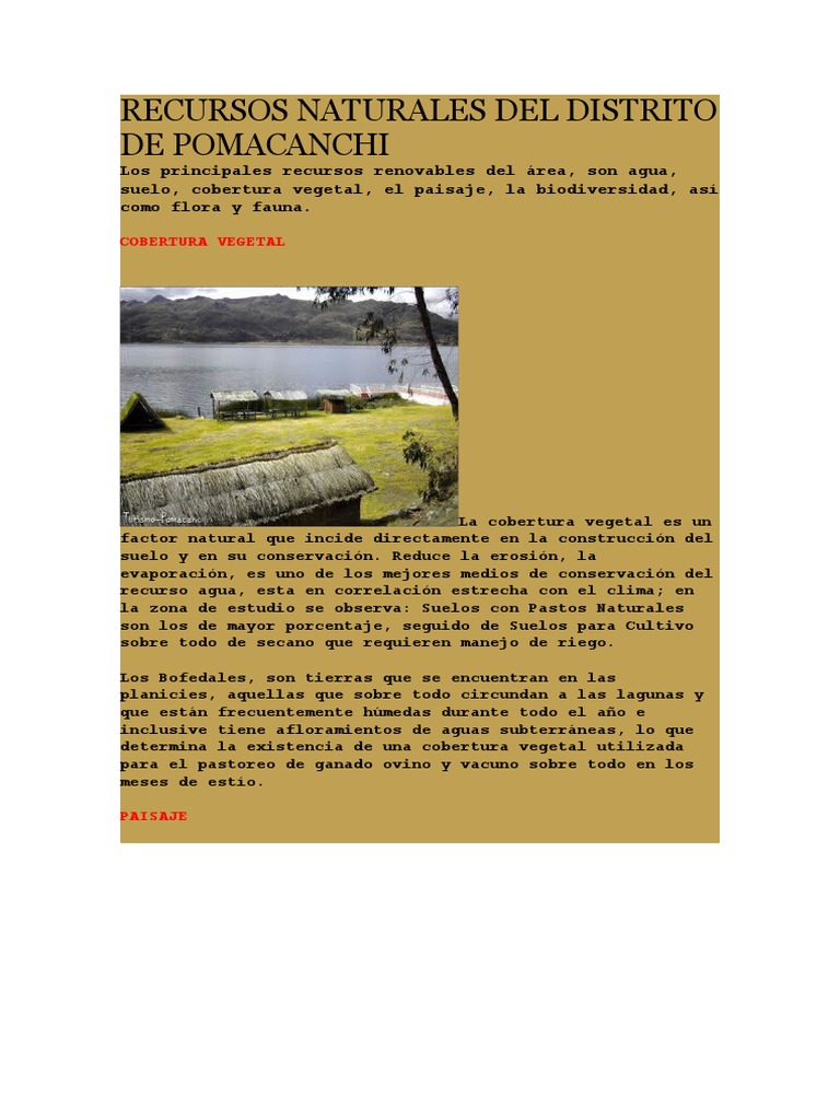 Recursos Naturales Del Distrito de Pomacanchi PDF