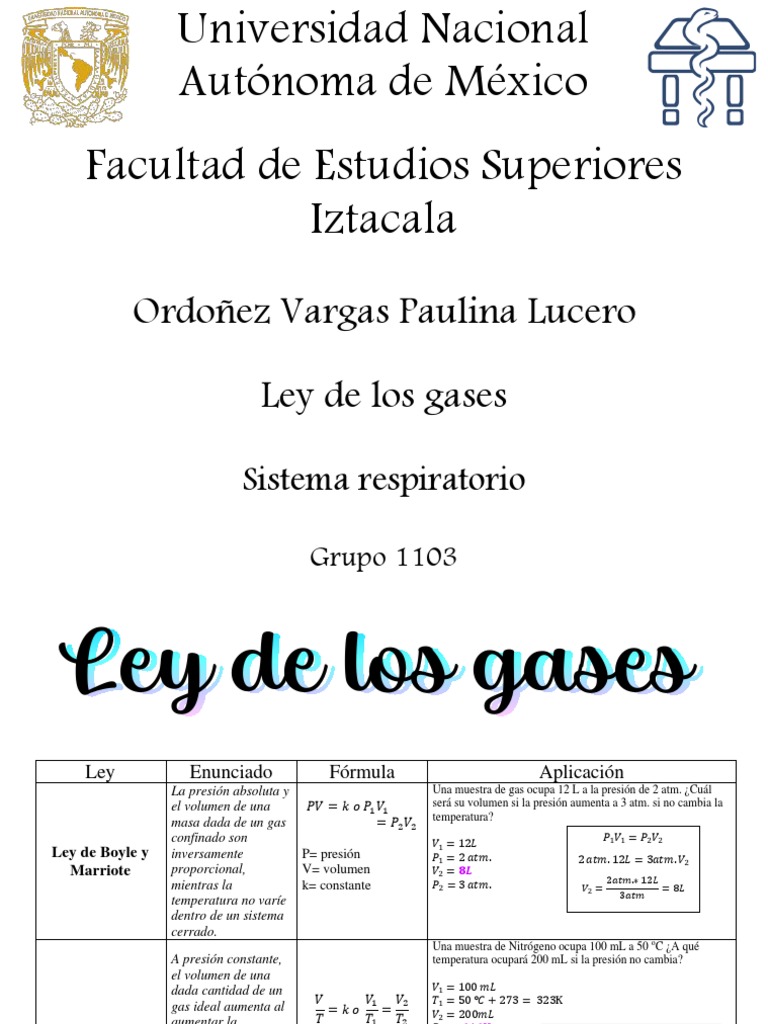 Ley de Los Gases. | PDF | Gases | Mole (Unidad)
