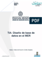 TIA Diseno de Una Base de Datos en El MER