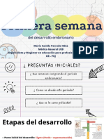 Primera Semana Del Desarrrollo