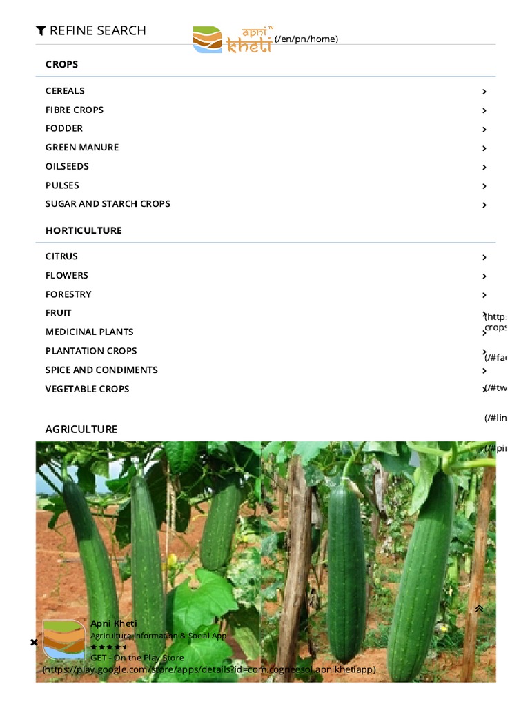 Sponge Gourd Farming Information Apni Kheti Download Free PDF