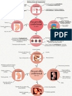 Desarrollo Embrionario