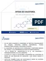 Biosintesis de Colesterol