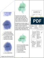 Transversal Ingles e Info