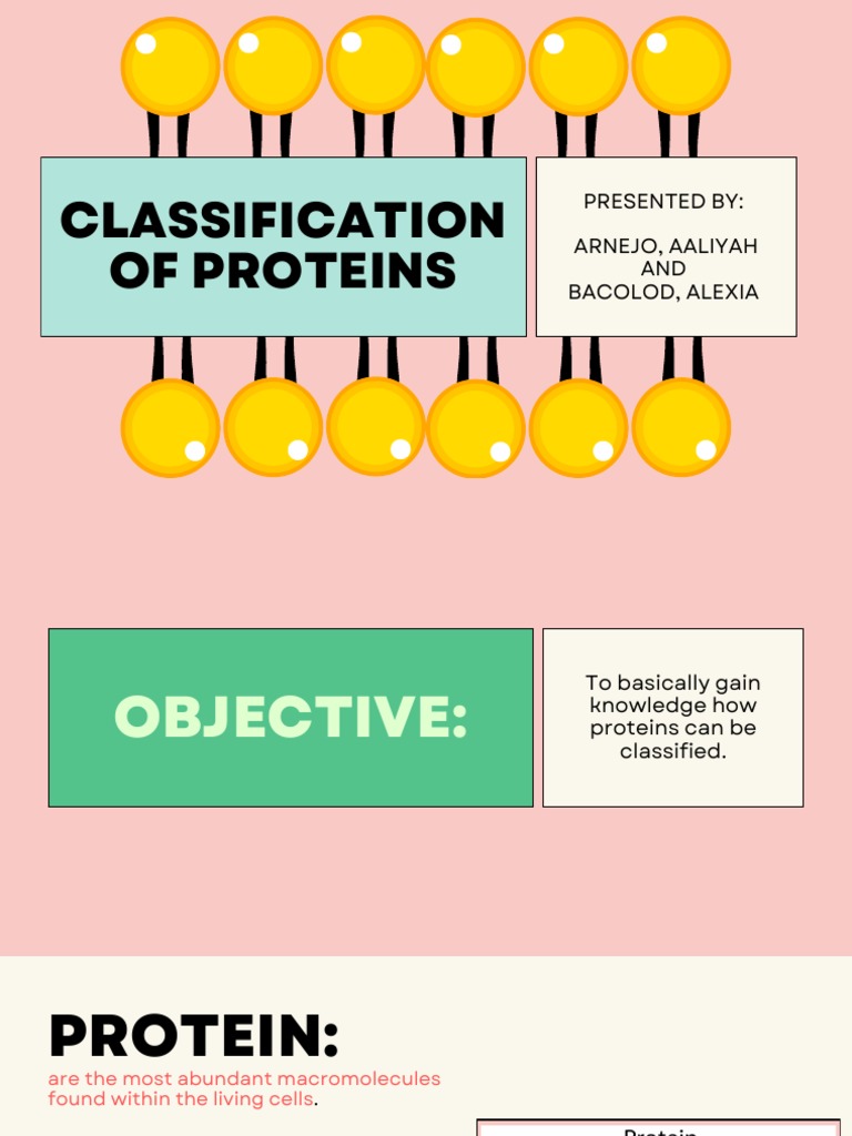 CLASSIFICATION OF PROTEINS | PDF | Proteins | Metabolism