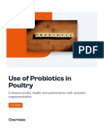 Use of Probiotics in Poultry