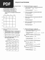 Dihybrid Cross Worksheet with Answers | PDF