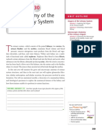 Lab Worksheet No. 14 Urinary System