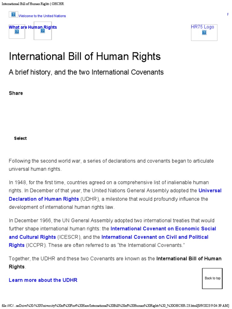International bill of human rights ohchr 23 pdf